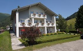 Ferienwohnung Lieserhaus